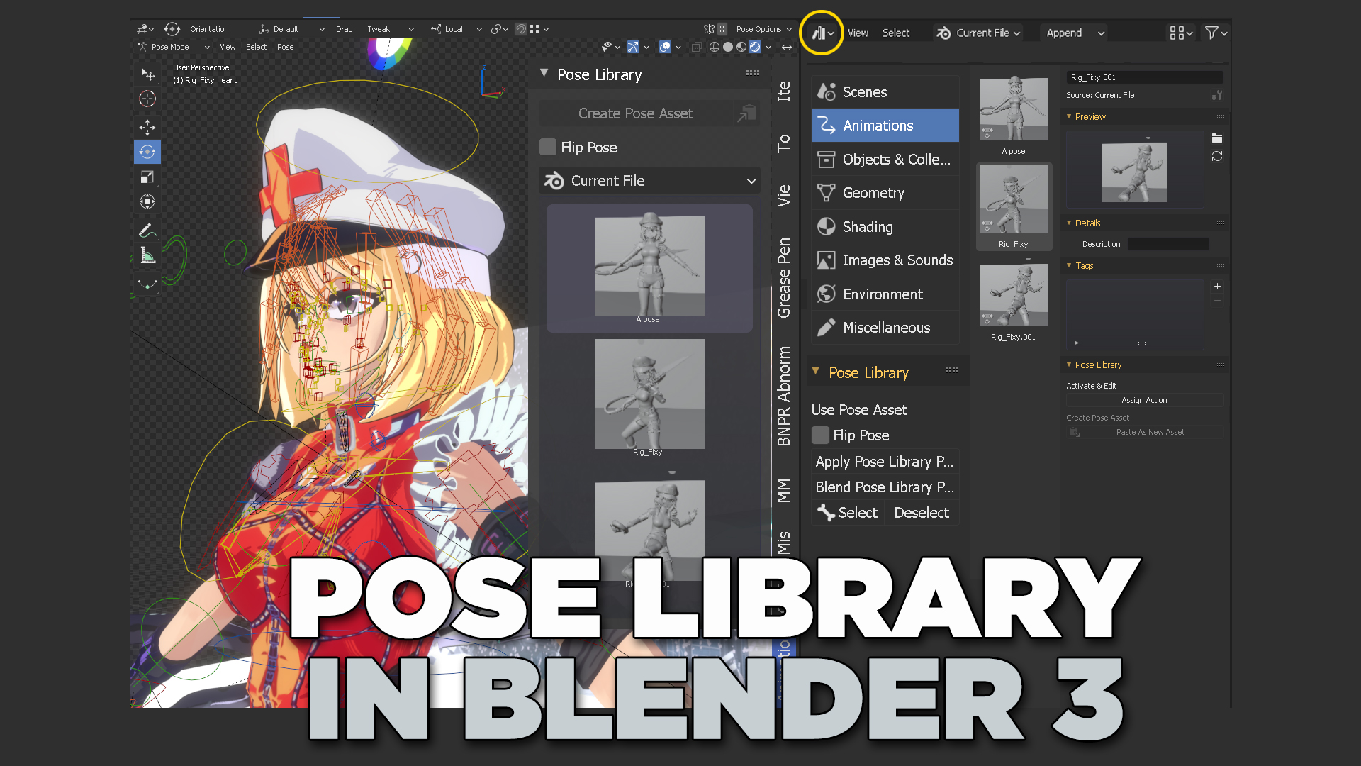 Pose-Library_Fixy_Blender3